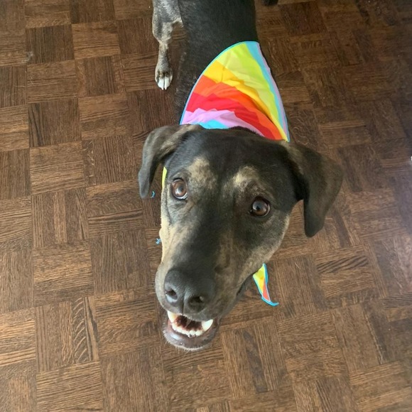 Meet your Posher, James - Picture 1 of 1